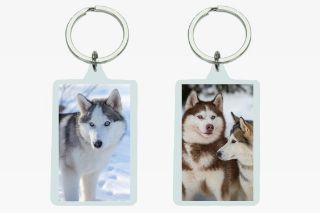 Obrázek z Klíčenka 3D plast husky 5,6x3,6cm(12) 